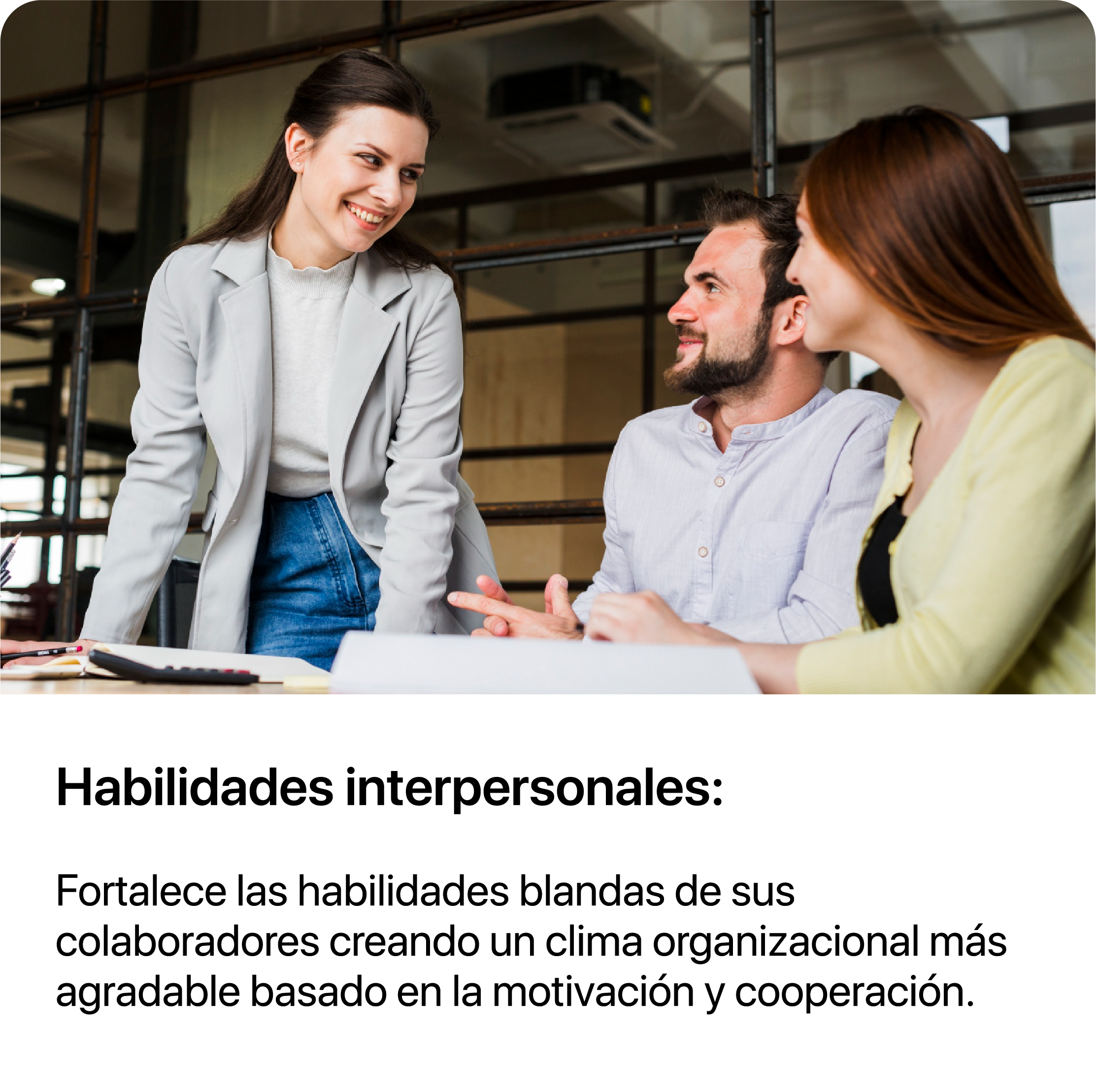Imagen Habilidades