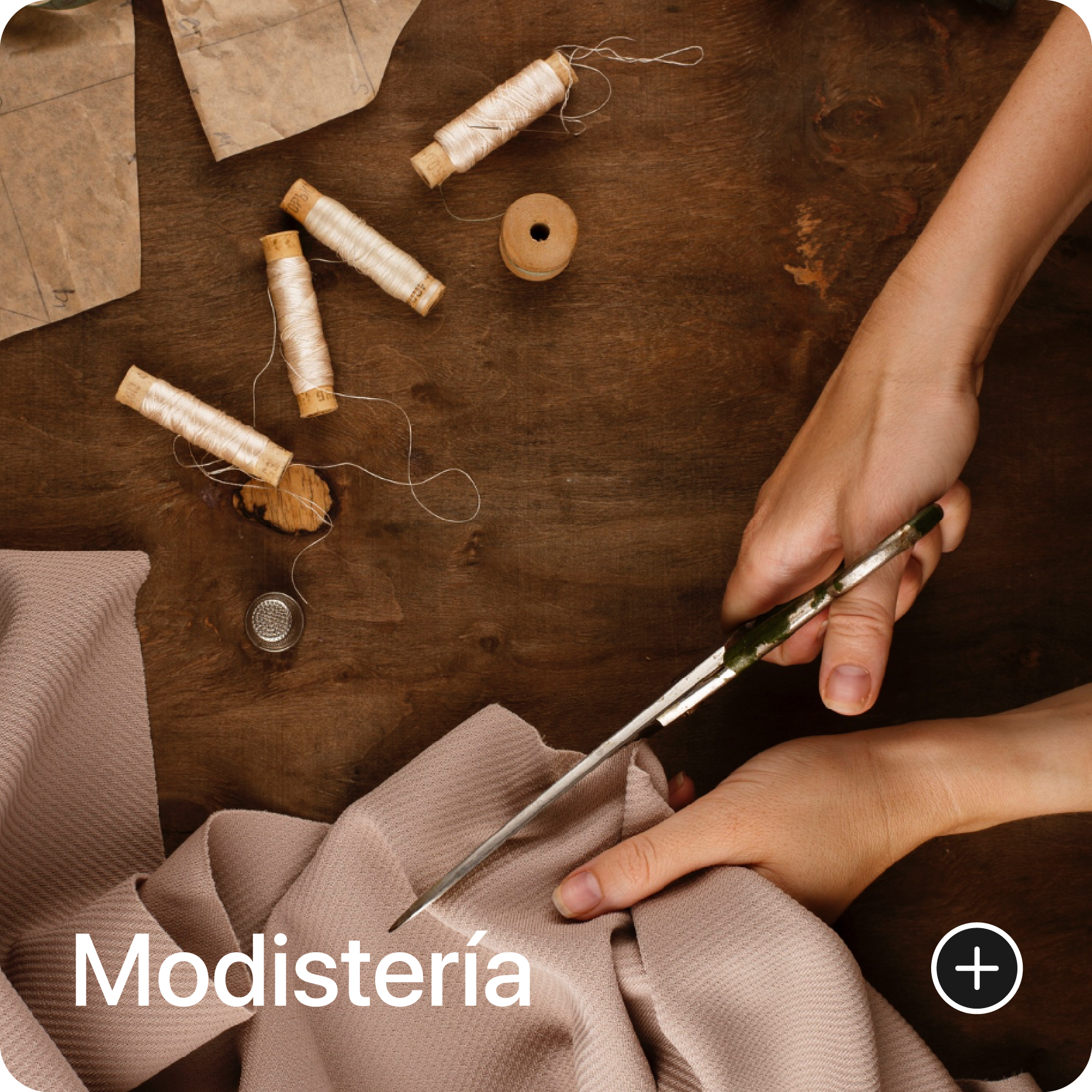Modisteriaimg